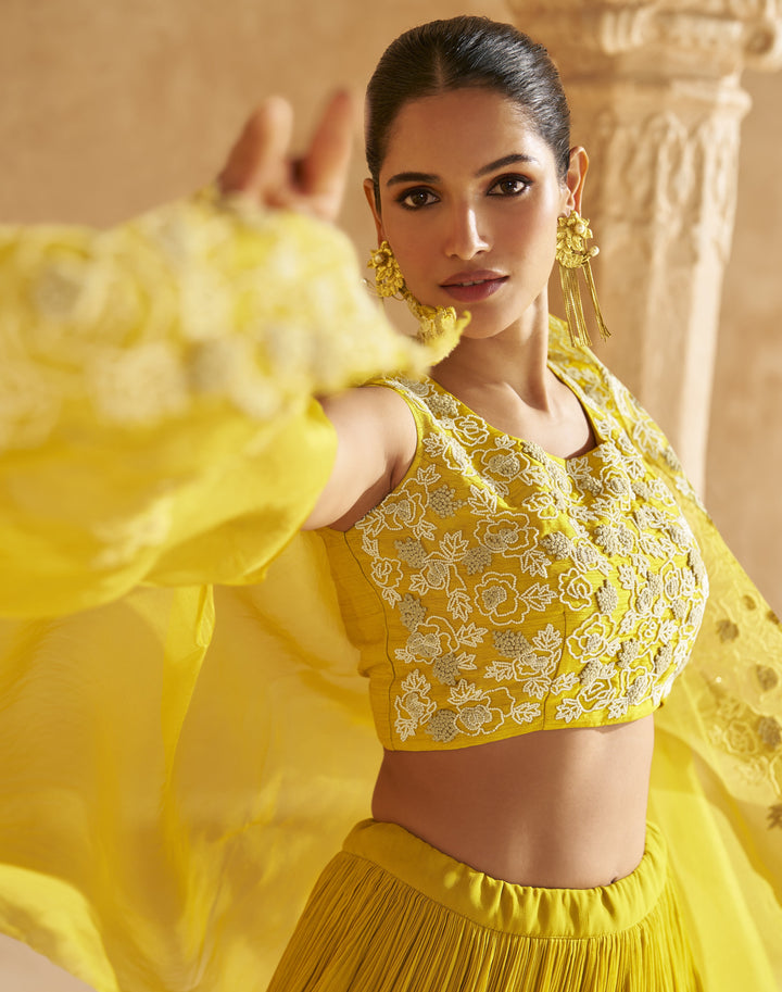 bollywood style crop top skirt fusion wear